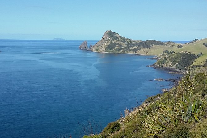 Coromandel Coastal Experience - Small Group Tour from Auckland - Value, inclusions, and what you still need to bring