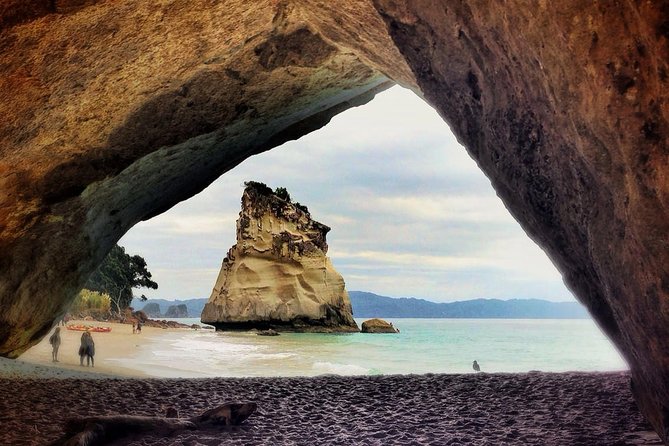 Coromandel Coastal Experience - Small Group Tour from Auckland - Weather, tides, and the reality of the schedule