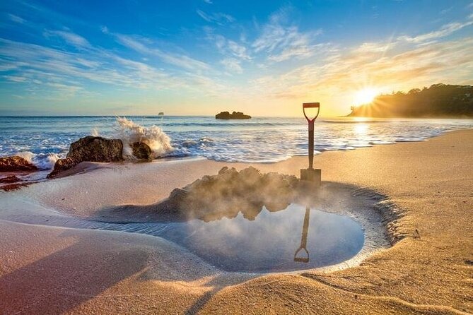 Coromandel Day Tour From Auckland - Why this Coromandel day trip works