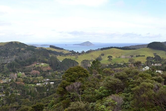 Coromandel Day Tour From Auckland - Hot Water Beach, where timing shapes the experience