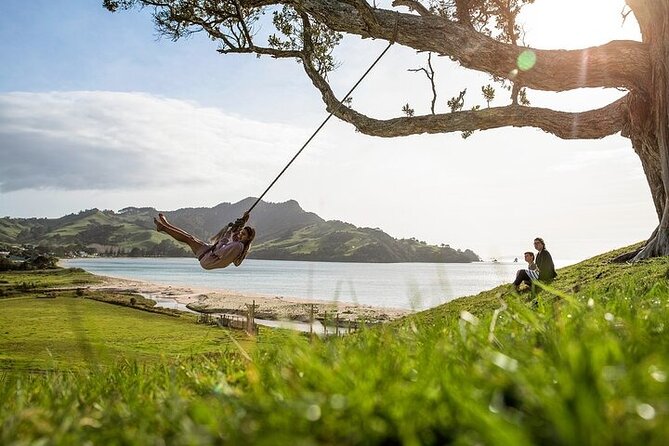 Coromandel Day Tour From Auckland - The guide, group size, and feel of the day