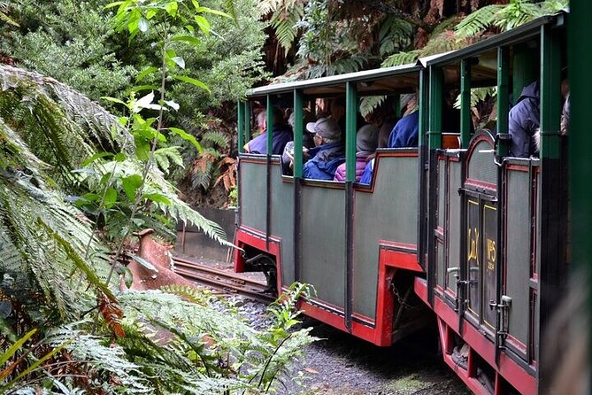 Coromandel Day Tour From Auckland - Who should book this experience?