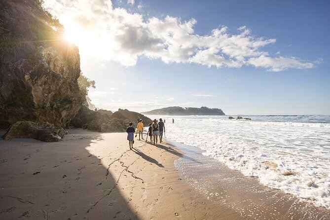 Coromandel Day Tour From Auckland - Driving Creek Railway and the climb to Eyefull Tower