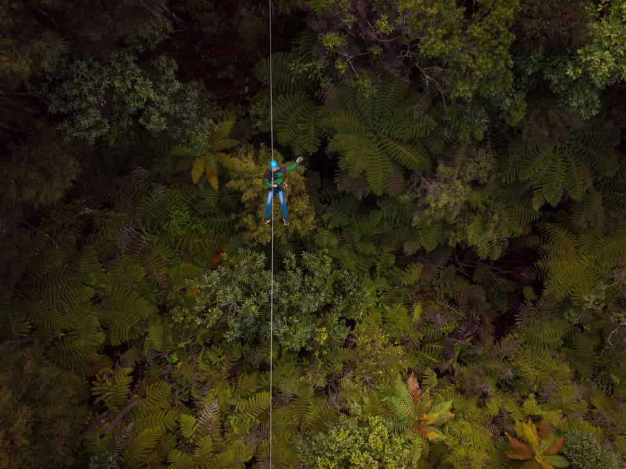 Coromandel: Guided Zipline Tour Experience - Why this zipline tour feels different