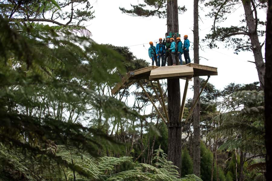 Coromandel: Guided Zipline Tour Experience - Arriving, gearing up, and meeting the guides