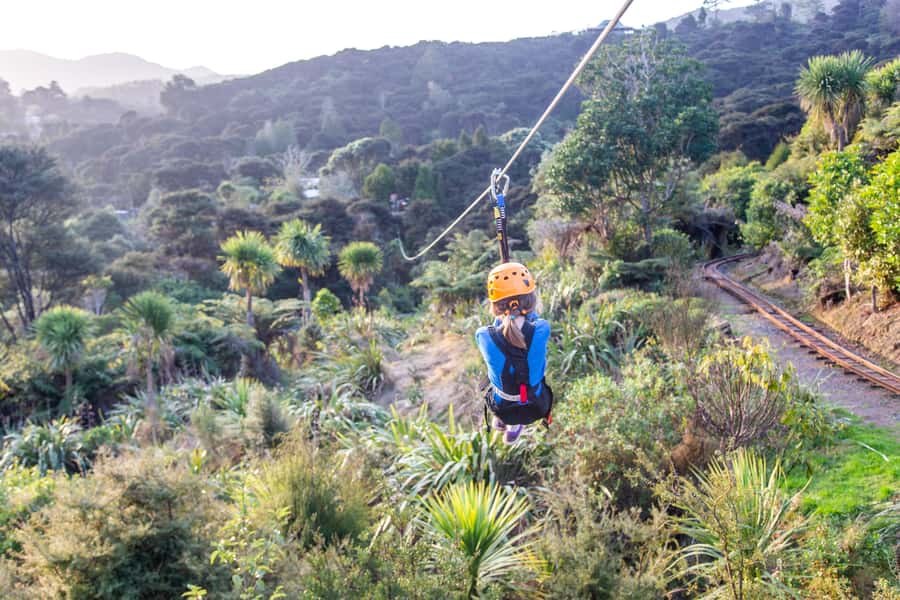 Coromandel: Guided Zipline Tour Experience - Is $87 per person good value?