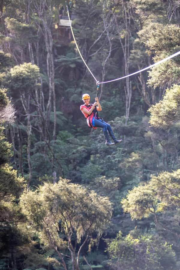Coromandel: Guided Zipline Tour Experience - Timing, clothing, and useful preparation