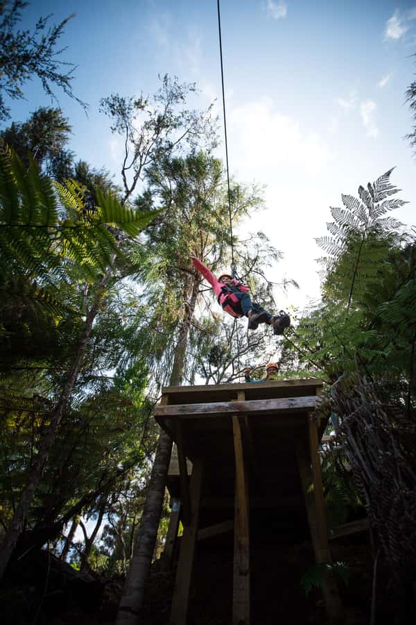 Coromandel: Guided Zipline Tour Experience - Final verdict: should you book it?