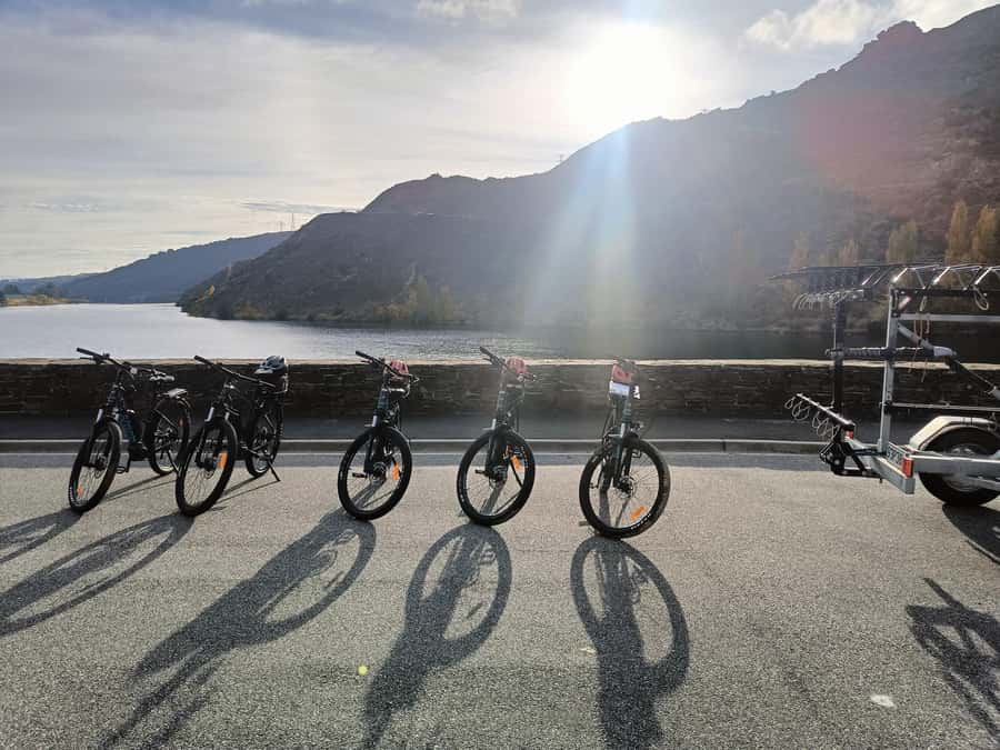 Cromwell: Lake Dunstan Trail Bike Rental and Luxury Shuttle - Choosing between a standard bike, e-bike, and gravel bike