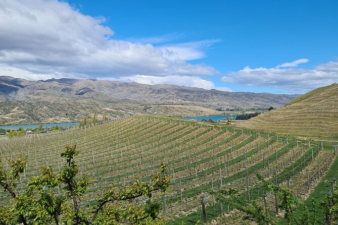 Cromwell Wine Tasting Tour using Classic Car - Is $217.20 per person fair?