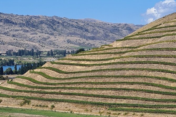 Cromwell Wine Tasting Tour using Classic Car - Who will enjoy this tour most