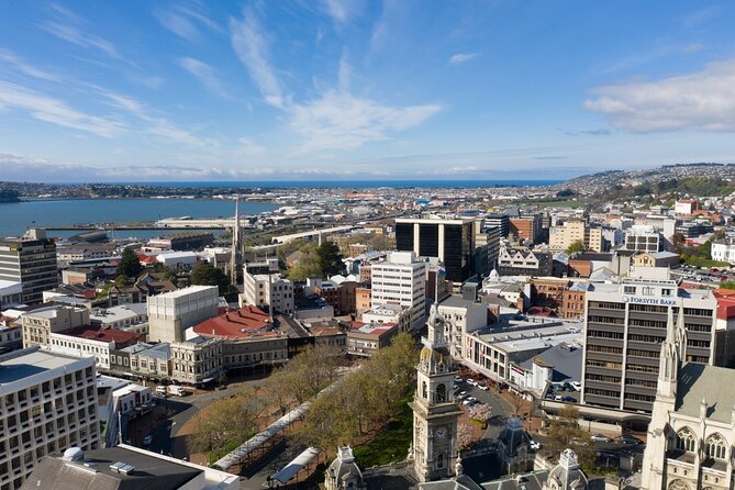 Cruise Dunedin City and Castle Tour - Baldwin Street and the Steep Walk