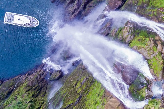 Cruise Milford NZ Small Boutique Cruise Experience - Key points to know before booking