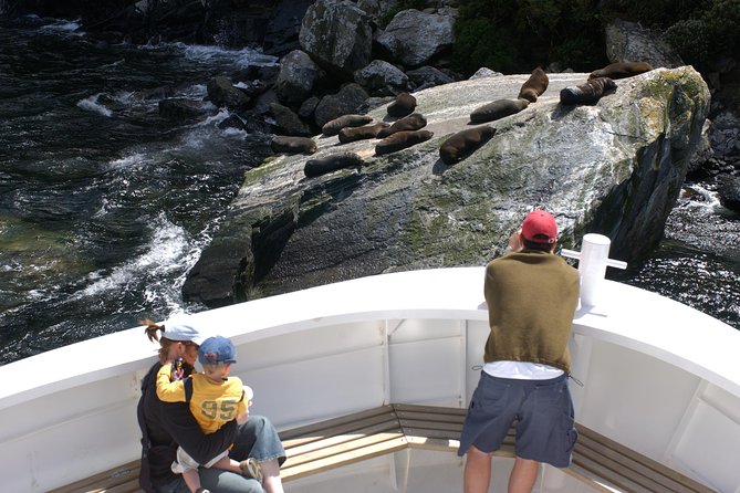 Cruise Milford NZ Small Boutique Cruise Experience - Waterfalls are often the real highlight