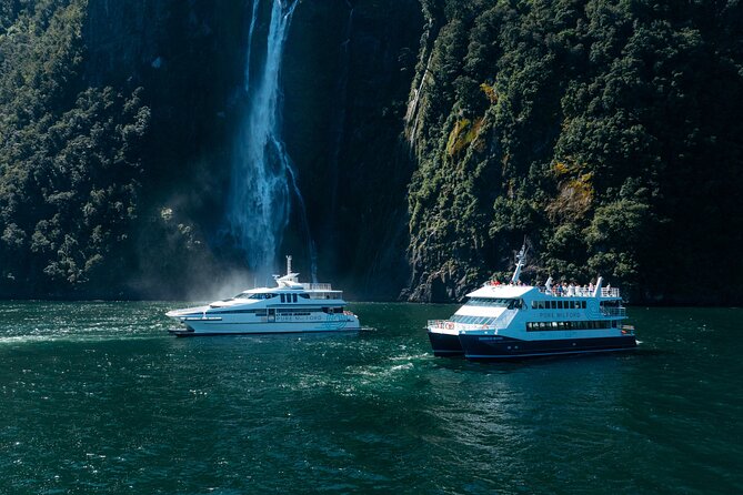 Cruise Milford NZ Small Boutique Cruise Experience - Comfort, commentary, and the onboard routine