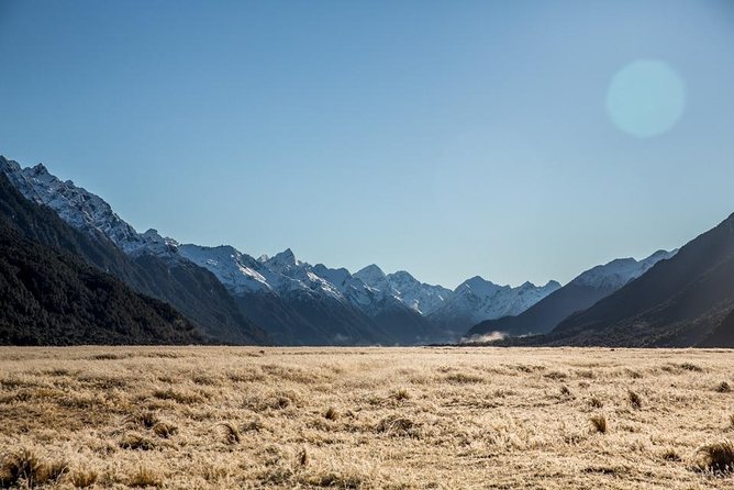 Cruise Milford Small Group Day Tour from Queenstown - Why the small group matters on a 13-hour day