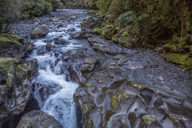 Cruise Milford Small Group Day Tour from Queenstown - Eglinton Valley and Mirror Lakes