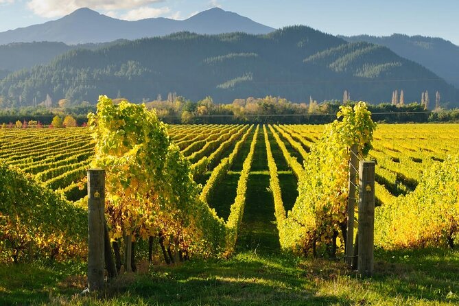CRUISE SHIP DAY Marlborough Hop On Hop Off Wine Tours - Beer, pubs, and food beyond the vineyards