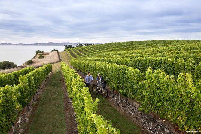 CRUISE SHIP DAY Marlborough Hop On Hop Off Wine Tours - Omaka’s aircraft and classic cars