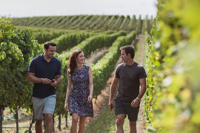 CRUISE SHIP DAY Marlborough Hop On Hop Off Wine Tours - Who should book this day out?