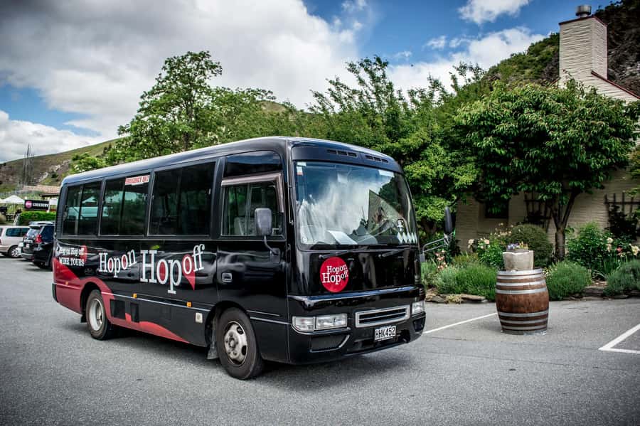 CRUISE SHIP DAYS - HOP ON HOP OFF - Wine, Beer, Food Tour - Five things to know before you go