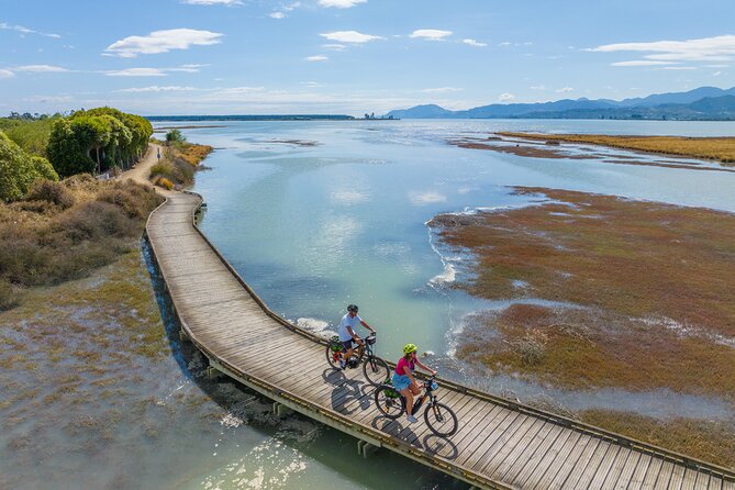 Cruise, Walk, and Sail in Abel Tasman National Park - What the scenery and wildlife are really like