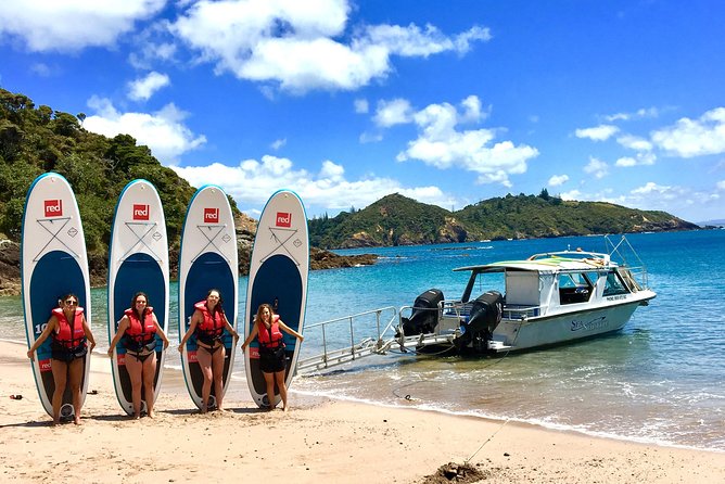 Day Cruise & Island Tour - Snorkel/Wildlife/Paddleboard/Islands - Snorkeling, swimming, and paddleboarding