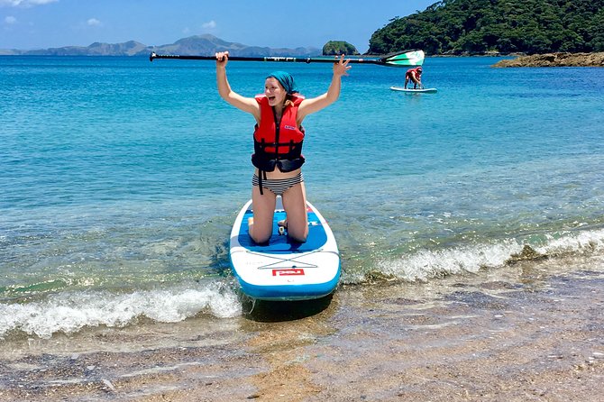 Day Cruise & Island Tour - Snorkel/Wildlife/Paddleboard/Islands - Wildlife: enjoy the possibility, not a promise