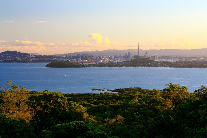 Day sea kayak tour Rangitoto Island - Why this Auckland day trip works