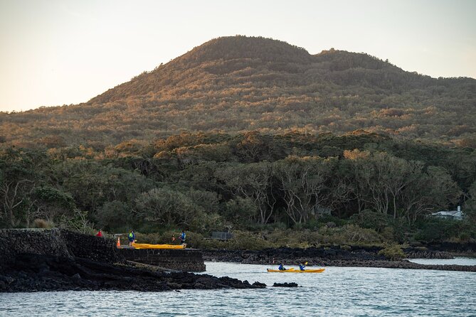 Day sea kayak tour Rangitoto Island - The summit view over Auckland and the gulf