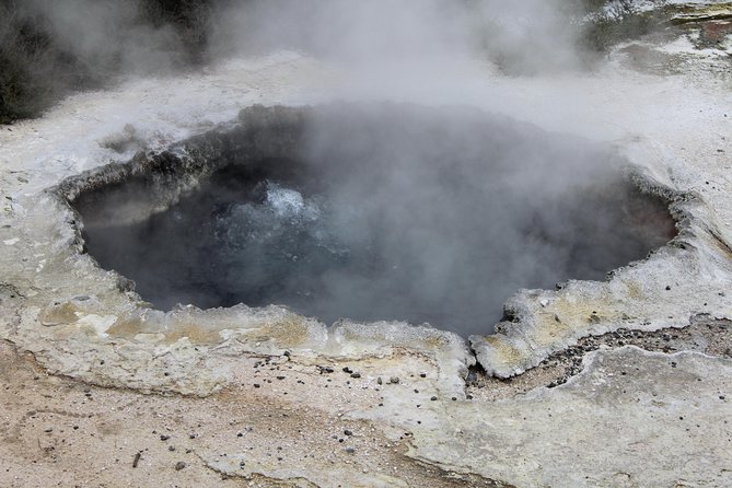 Day Tour Hobbiton + Rotorua from Auckland in Luxury Minibus - Guide quality and the small-group advantage