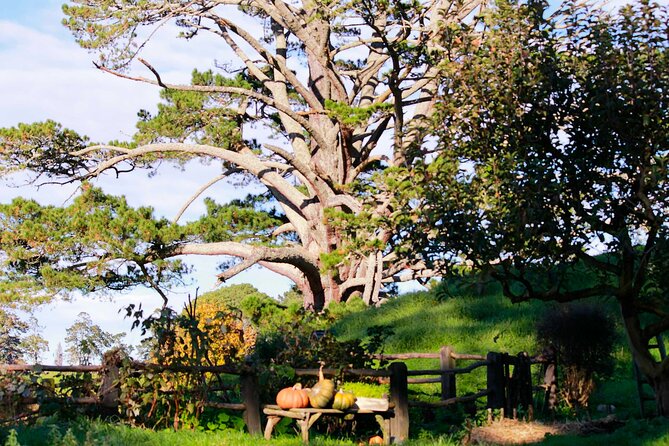 Day Tour Hobbiton + Rotorua from Auckland in Luxury Minibus - Who should book this day trip?