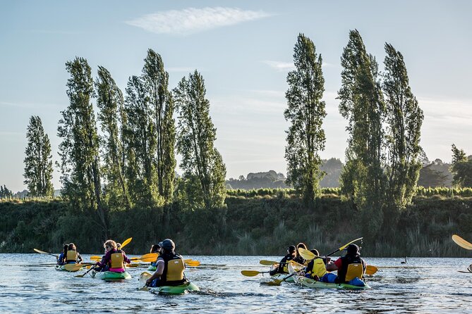 Daytime Canyon Kayak Tour - What to know before you arrive