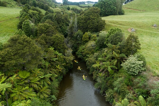 Daytime Canyon Kayak Tour - Entering Pokaiwhenua Stream after the 90-minute paddle