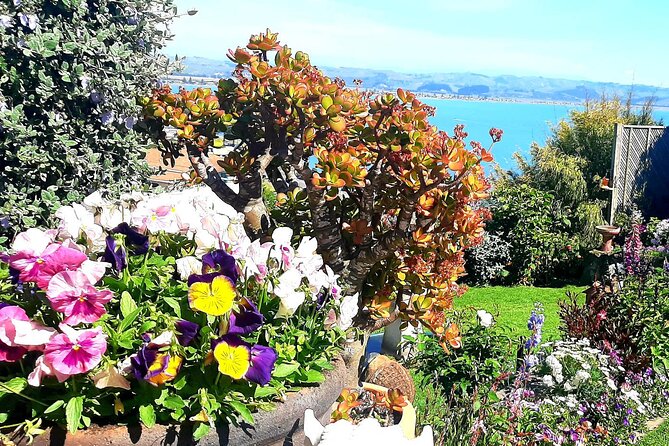 Deco Napier, Te Mata Peak, Garden Walk and Wine Tasting Tour - Askerne Vineyards gives the tour its flavor