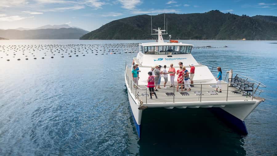 Depart Picton: Marlborough Sounds Afternoon Seafood Cruise - Setting out from Picton Marina