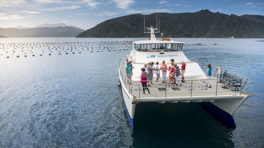 Depart Picton: Marlborough Sounds Afternoon Seafood Cruise - A pleasant outing, with timing caveats