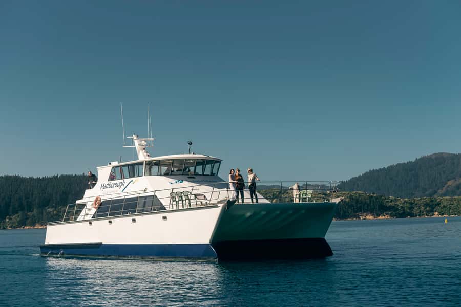 Depart Picton: Marlborough Sounds Afternoon Seafood Cruise - Is $92 good value?