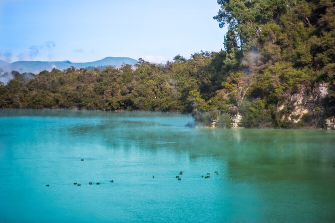 Devil's Bath Experience - Private Tour to Wai-O-Tapu & Lake Taupo - Comfort, fitness, and practical preparation