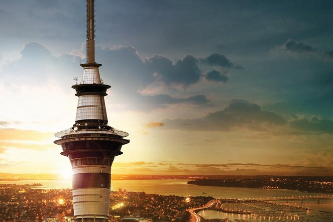 Discover Auckland City Tour: The City of Sails - MJ Savage Memorial Park and the Māori connection