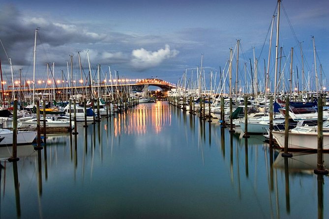 Discover Auckland City Tour: The City of Sails - What the guide and vehicle add