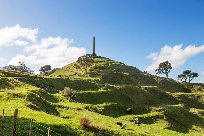 Discover Auckland City Tour: The City of Sails - Is $108.60 per person fair?