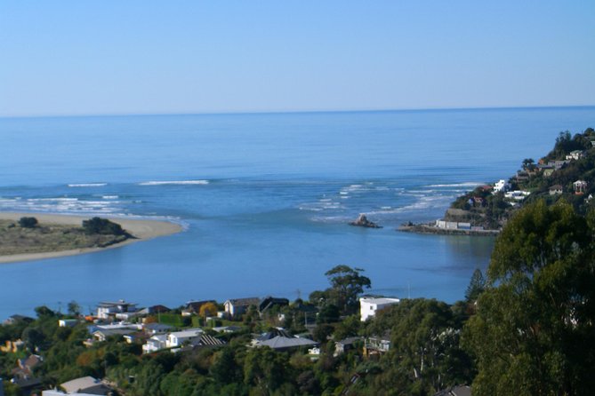 Discover Christchurch Sightseeing Tour - Mona Vale brings gardens and quiet water