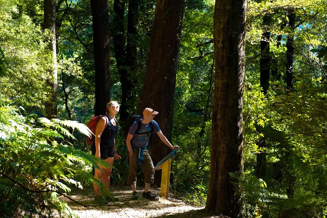 Discover Picton: Self-Guided Audio Tour - Who will enjoy this Picton walk?