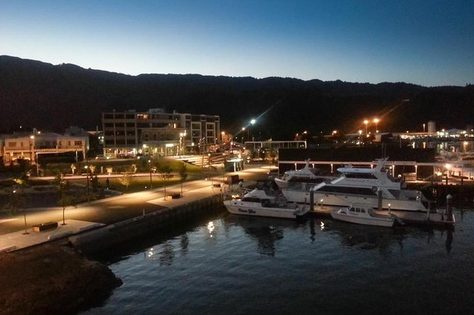 Discover Picton: Self-Guided Audio Tour - The harpoon gun and Picton’s whaling story
