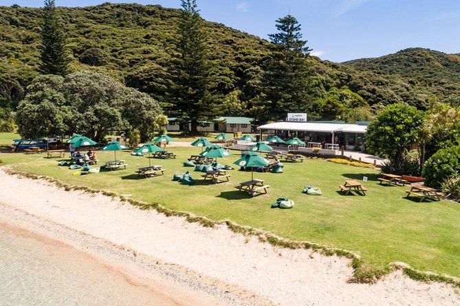 Discover the Bay - Hole in the Rock cruise includes Island Lunch - Who will enjoy this cruise most?