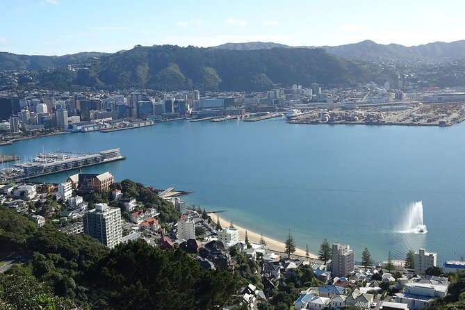 Discover Wellington 3 hour City Tour - Four useful things to know before you go