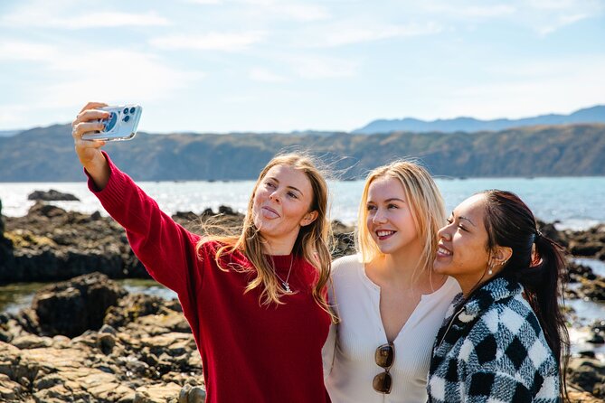 Discover Wellington 3 hour City Tour - Mount Victoria Lookout: the signature city view