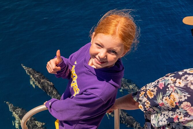 Dolphin & Wildlife Encounters - Setting out from Tauranga at 9:00am