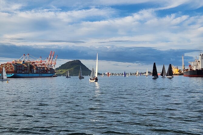 Dolphin & Wildlife Encounters - The coastline and island route